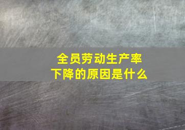 全员劳动生产率下降的原因是什么