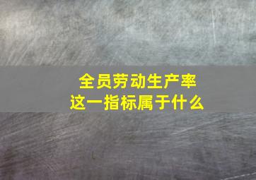 全员劳动生产率这一指标属于什么