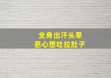 全身出汗头晕恶心想吐拉肚子