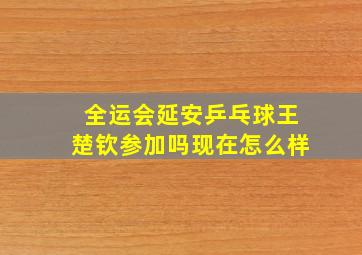 全运会延安乒乓球王楚钦参加吗现在怎么样