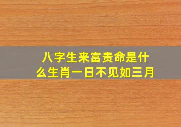 八字生来富贵命是什么生肖一日不见如三月