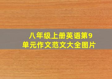 八年级上册英语第9单元作文范文大全图片