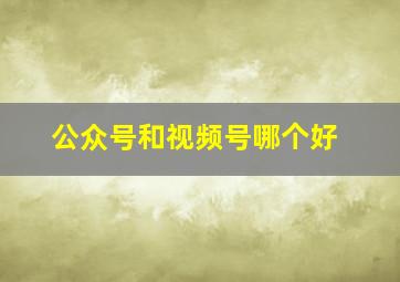 公众号和视频号哪个好