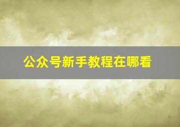 公众号新手教程在哪看