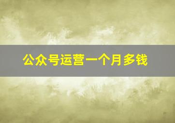 公众号运营一个月多钱