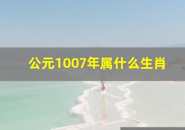 公元1007年属什么生肖