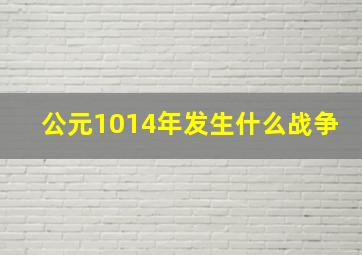 公元1014年发生什么战争