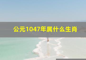 公元1047年属什么生肖