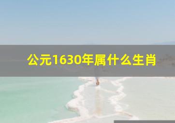 公元1630年属什么生肖