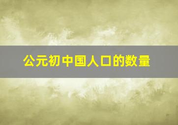 公元初中国人口的数量