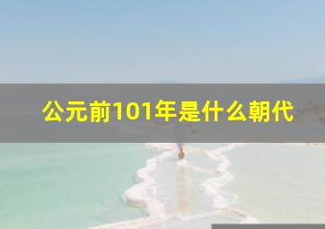 公元前101年是什么朝代