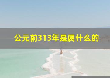 公元前313年是属什么的