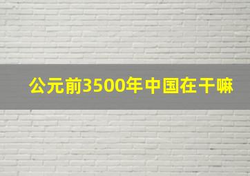 公元前3500年中国在干嘛