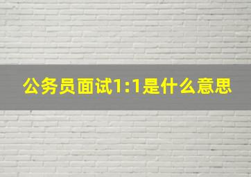 公务员面试1:1是什么意思