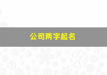 公司两字起名