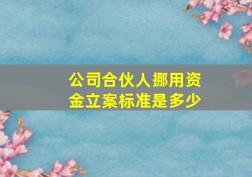 公司合伙人挪用资金立案标准是多少