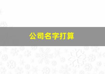 公司名字打算