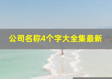 公司名称4个字大全集最新