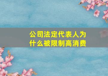 公司法定代表人为什么被限制高消费