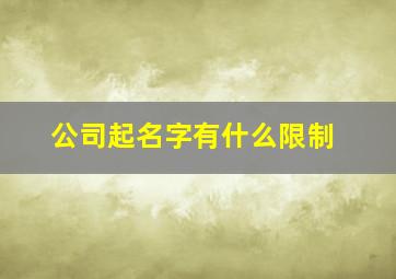 公司起名字有什么限制