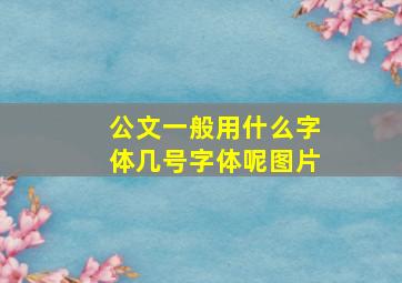 公文一般用什么字体几号字体呢图片