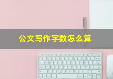 公文写作字数怎么算