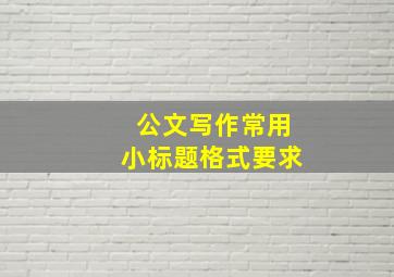 公文写作常用小标题格式要求