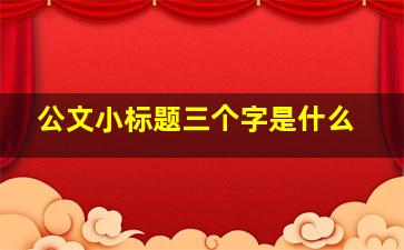 公文小标题三个字是什么