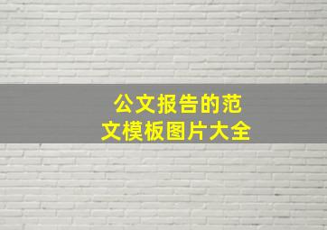 公文报告的范文模板图片大全