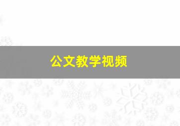 公文教学视频