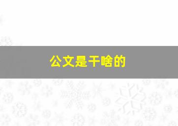 公文是干啥的