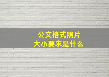 公文格式照片大小要求是什么