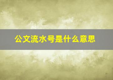 公文流水号是什么意思