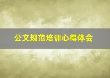 公文规范培训心得体会