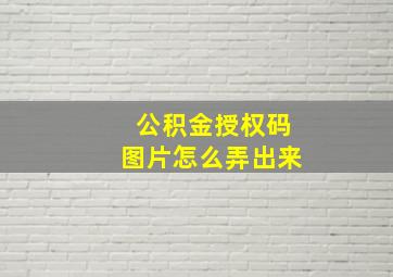 公积金授权码图片怎么弄出来