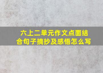 六上二单元作文点面结合句子摘抄及感悟怎么写