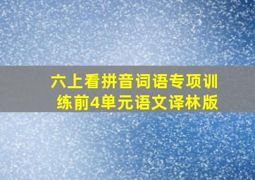 六上看拼音词语专项训练前4单元语文译林版