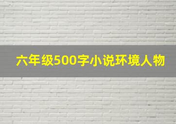 六年级500字小说环境人物