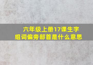 六年级上册17课生字组词偏旁部首是什么意思