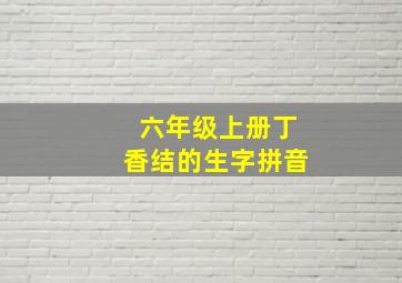 六年级上册丁香结的生字拼音