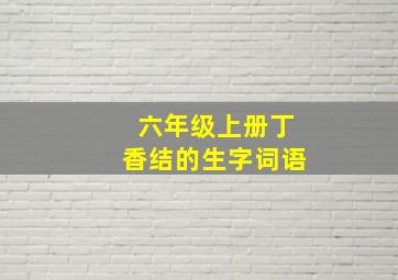 六年级上册丁香结的生字词语