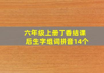 六年级上册丁香结课后生字组词拼音14个