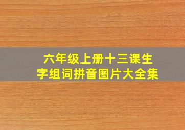 六年级上册十三课生字组词拼音图片大全集