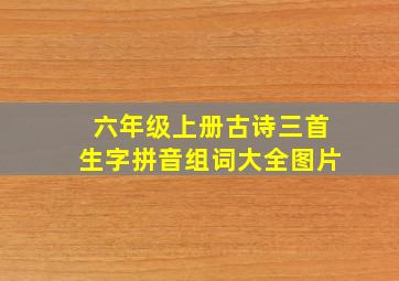 六年级上册古诗三首生字拼音组词大全图片