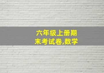 六年级上册期末考试卷,数学