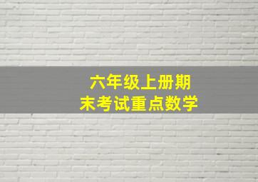 六年级上册期末考试重点数学