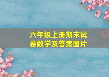 六年级上册期末试卷数学及答案图片