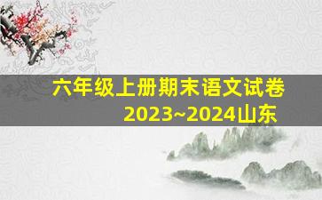 六年级上册期末语文试卷2023~2024山东