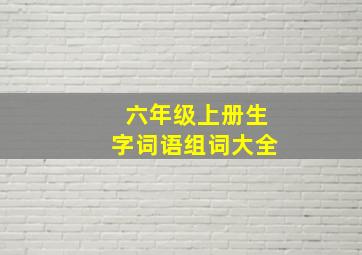 六年级上册生字词语组词大全