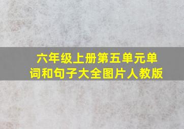 六年级上册第五单元单词和句子大全图片人教版